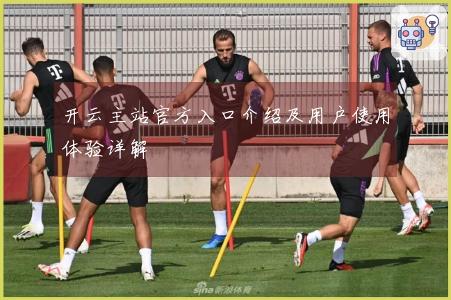 开云主站官方入口介绍及用户使用体验详解