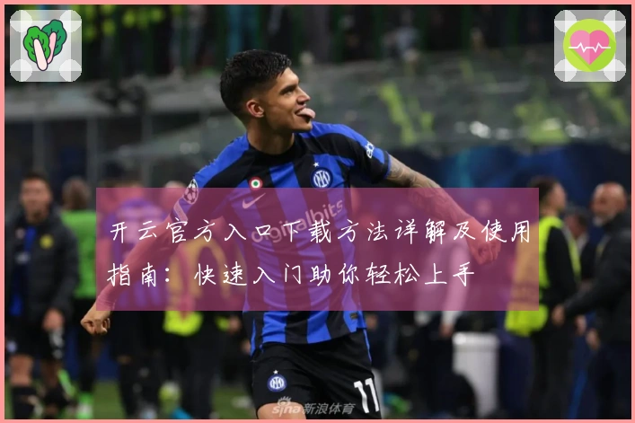 开云官方入口下载方法详解及使用指南：快速入门助你轻松上手