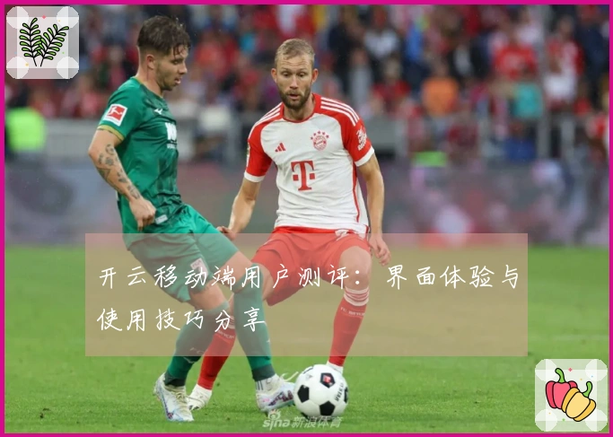 开云移动端用户测评：界面体验与使用技巧分享